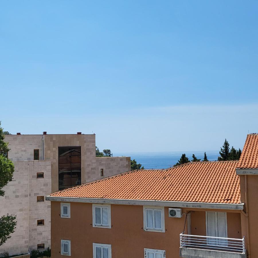 Apartmani Mia Sorajic Petrovac Екстериор снимка